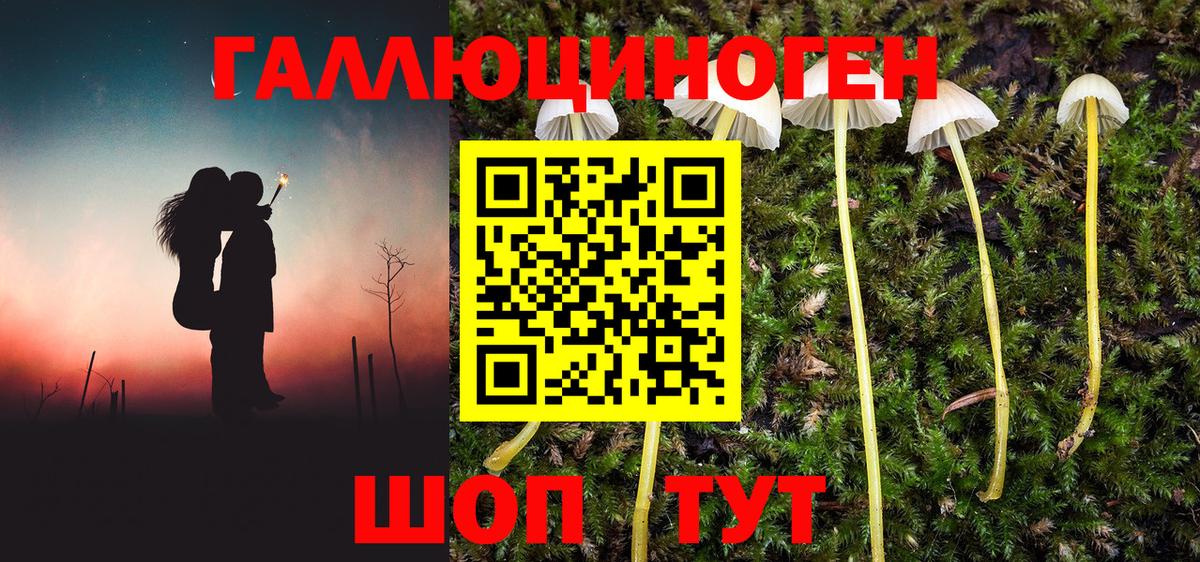 Псилоцибиновые грибы MAGIC MUSHROOMS Вичуга